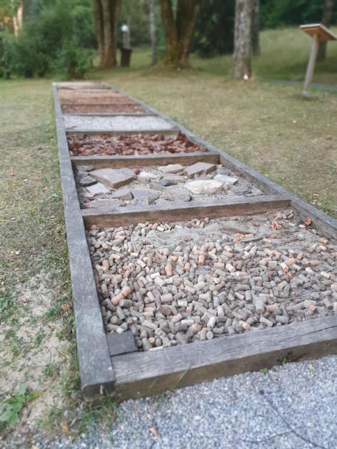 Modernisierte Ferienwohnung Naturseelen Mit Schwimmbad Und Sauna 브라운라제 외부 사진